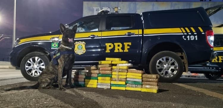 Mais de 46 kg de cocaína são apreendidos na BR- 316 em Timon