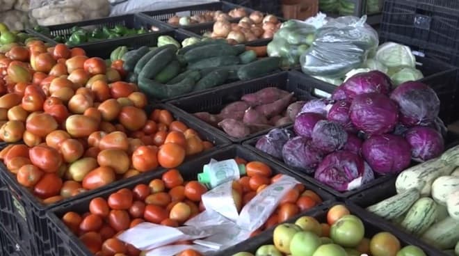 Entenda a importância da alimentação adequada para a saúde da boca