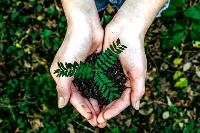 Neste fim de ano, use essas 7 ideias para presente e proteja o meio ambiente