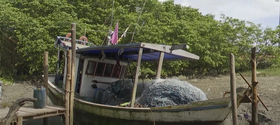 Maranhão suspende licenças de mais de 3 mil pescados