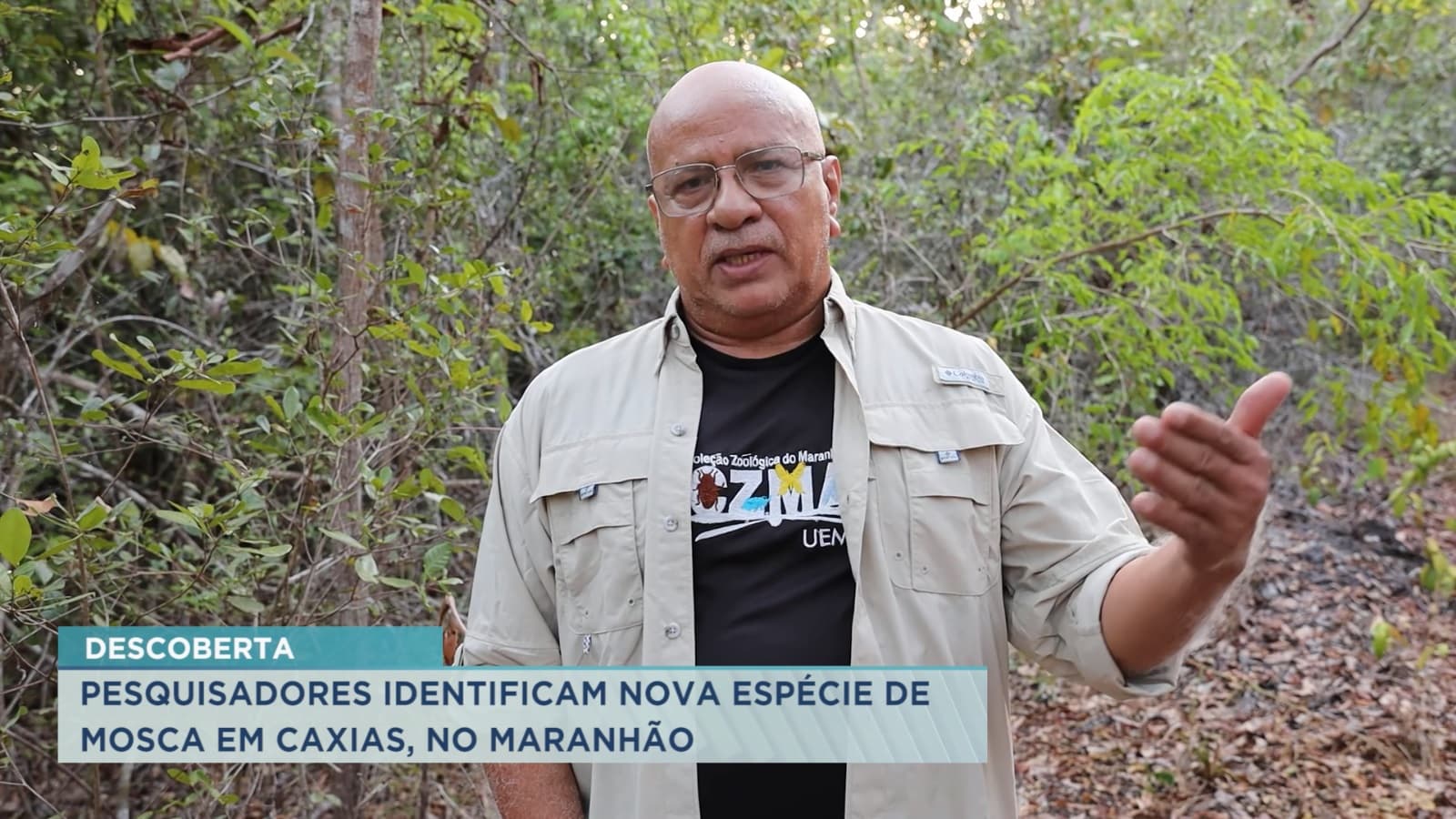 Nova espécie de mosca é descoberta em Caxias por pesquisador maranhense