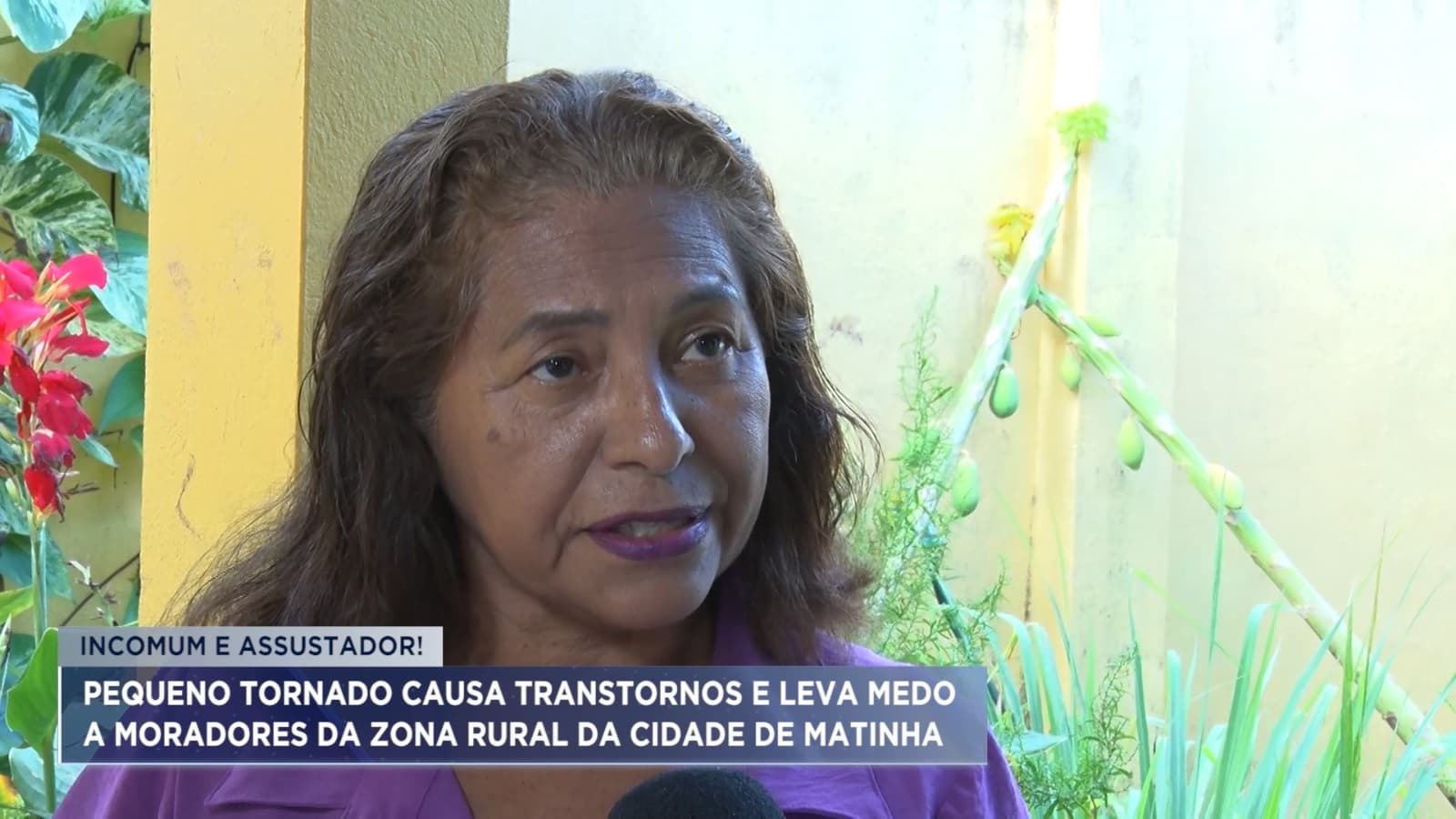 Matinha: pequeno tornado causa transtornos e medo na zona rural