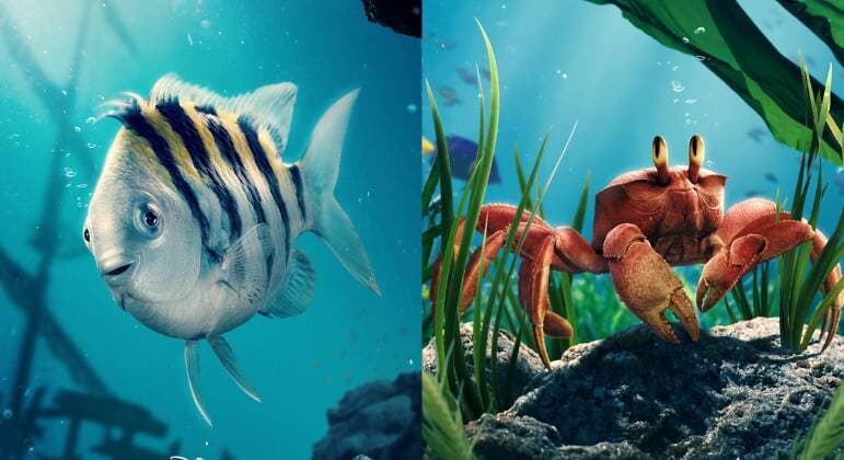 A Pequena Sereia: veja os animais do live-action na vida real