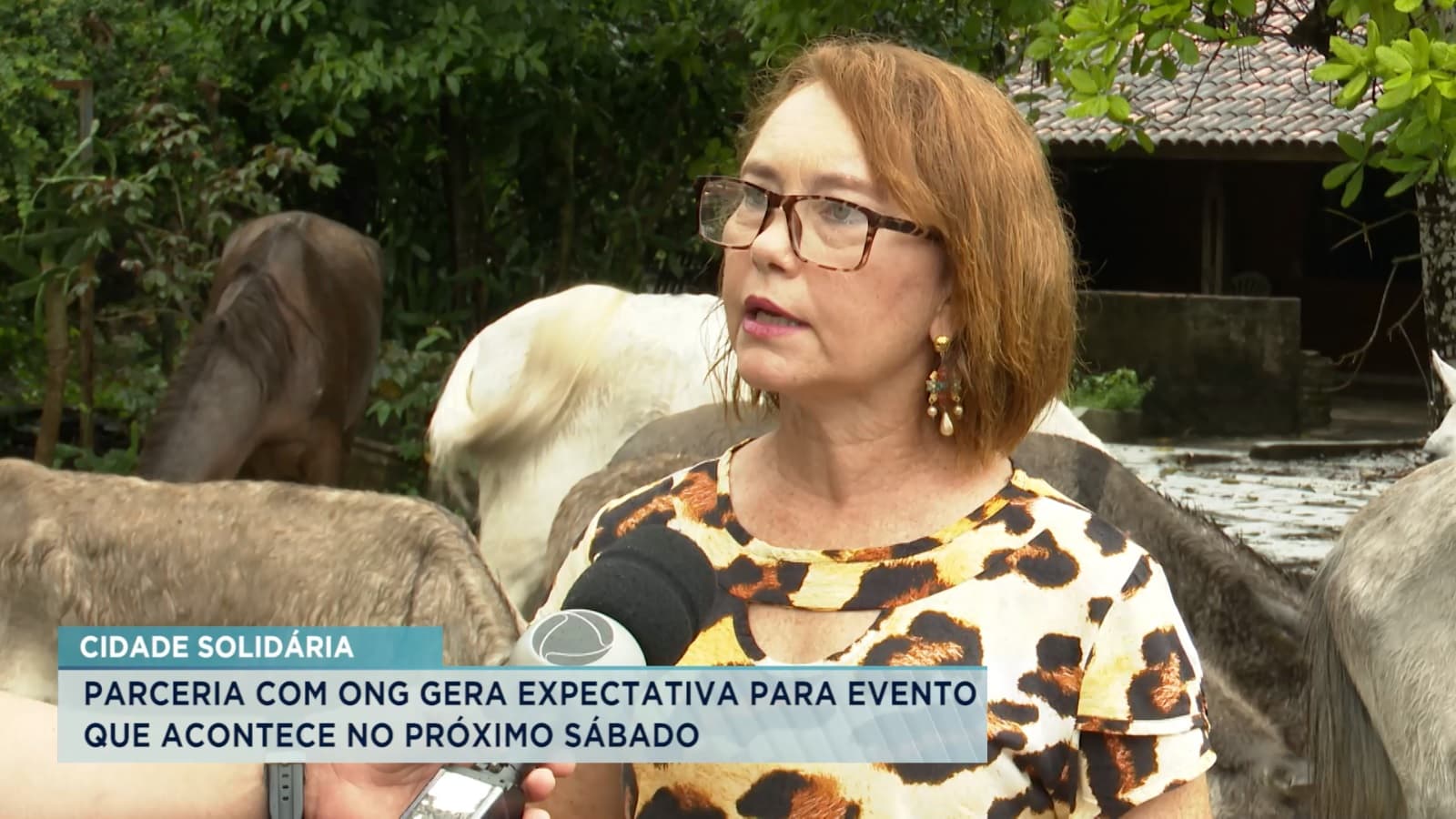 Evento solidário da TV Cidade tem parceria com ONG de proteção aos animais