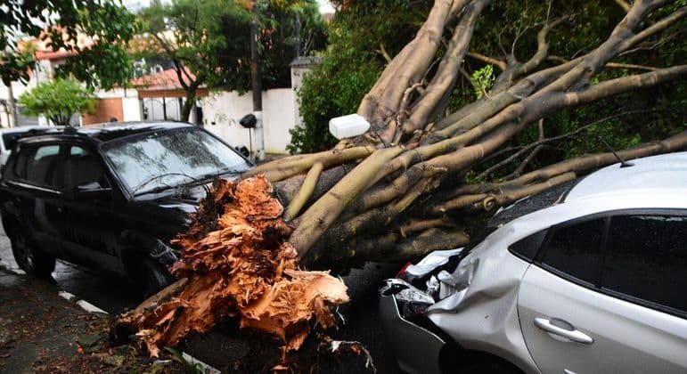 600 mil pessoas continuam sem luz após chuva em São Paulo