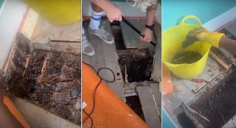 Mel escorre de paredes, e casal descobre que casa foi transformada em colmeia gigante