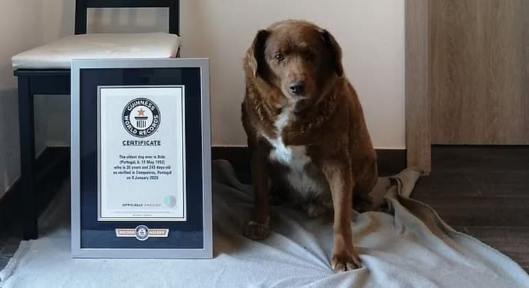 Livro dos recordes elege cachorro de 30 anos como o mais velho do mundo