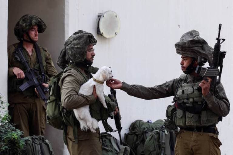 Defensora de animais encara Hamas para resgatar pets