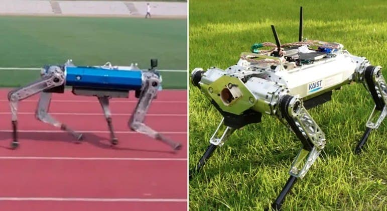 Robô-cachorro bate recorde dos 100 m, mas ainda 'come poeira' contra cães biológicos