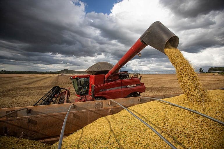 Entenda por que a vitória de Trump pode ser boa para o agro brasileiro