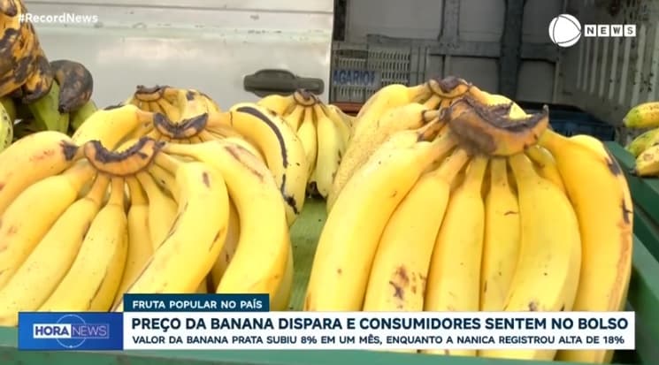 Preço da banana dispara e consumidores sentem no bolso