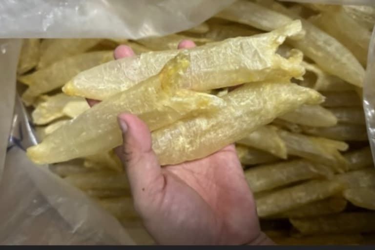 ‘Cocaína dos mares’: como uma comida de luxo pode destruir o ecossistema marinho