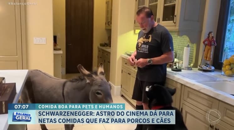 Schwarzenegger causa polêmica ao dar ração de animais para netas
