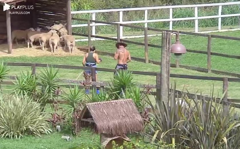 ‘Não vou com a cara dela, prefiro que fique na Roça’, afirma Camila sobre Luana | A Fazenda 16