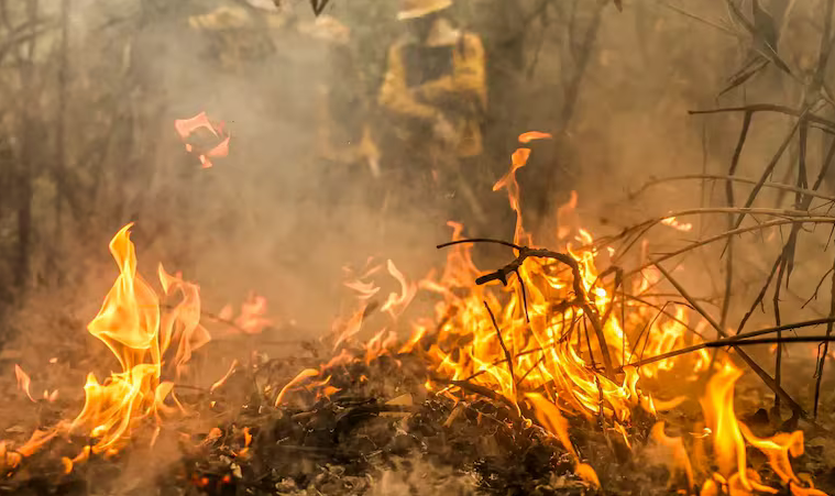 Governo cria plano com estados contra incêndios florestais no Pantanal e Amazônia