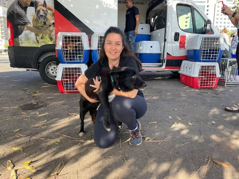 Brasilienses adotam cachorros resgatados nas enchentes do RS