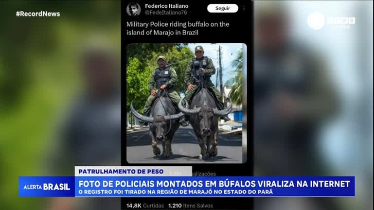 Foto de policiais montados em búfalos na ilha de Marajó viraliza na internet