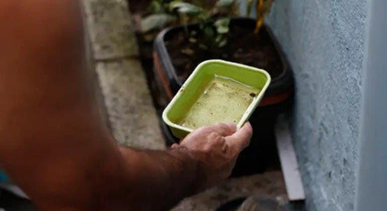 Vacina contra a dengue será distribuída para 521 municípios do país