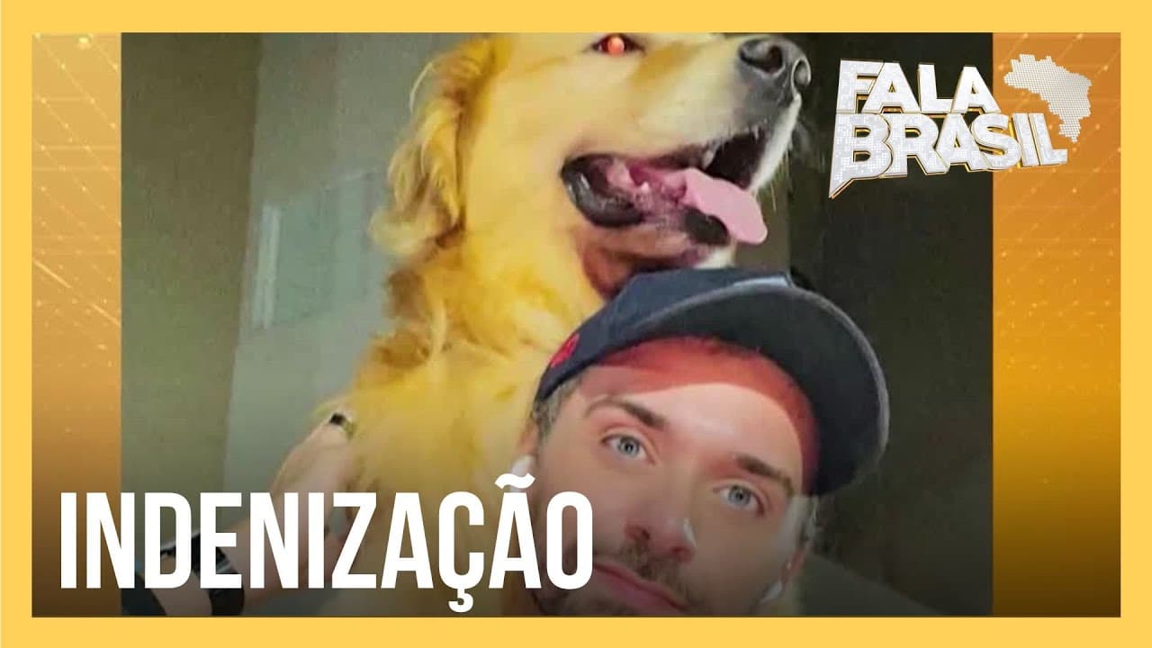 Defensoria pede que empresa aérea pague R$ 10 milhões ao tutor do cachorro Joca