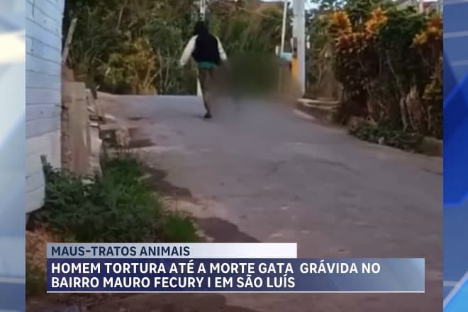 Policia Civil investiga casos de Maus tratos animais em São Luís