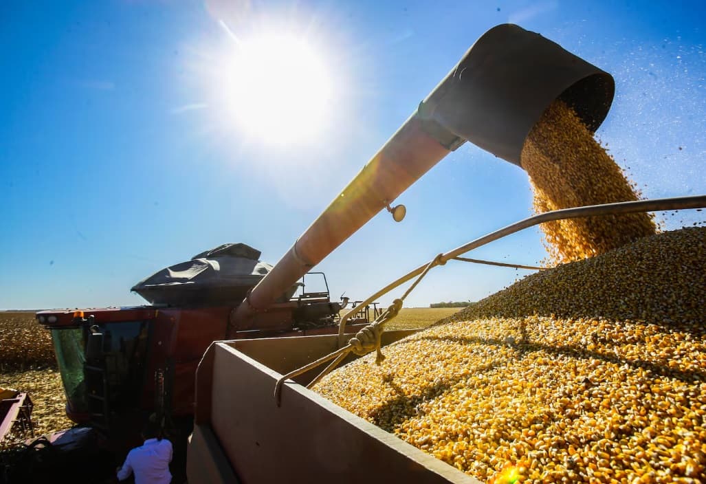 Economia brasileira cresce 1,4% no primeiro trimestre puxada pela agropecuária, diz IBGE