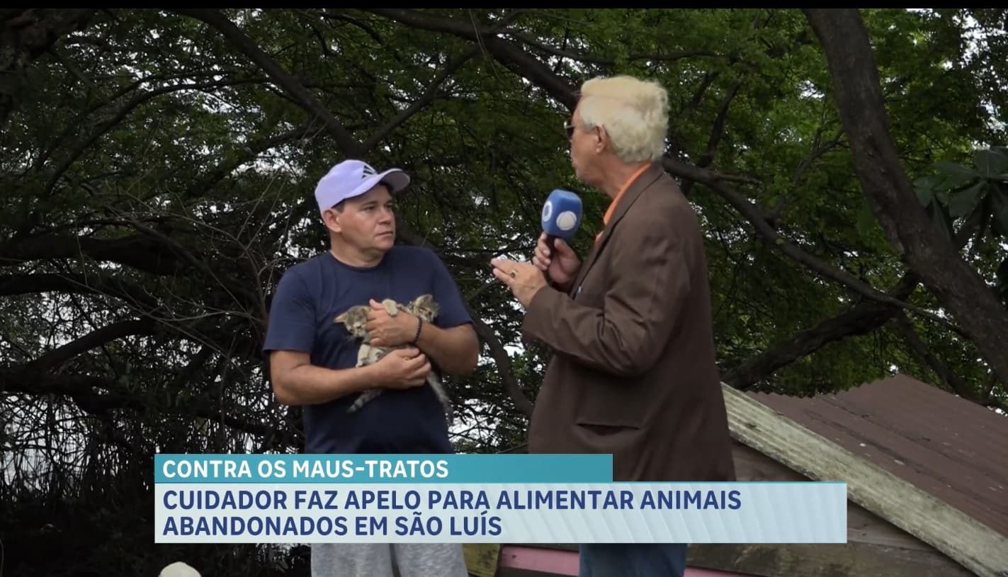 Cuidador pede ajuda para alimentar animais na Praça dos Gatos