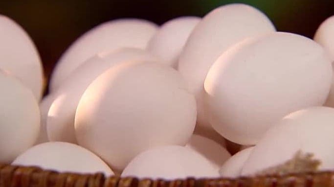 EUA quase dobra importações de ovos do Brasil em meio à crise de gripe aviária