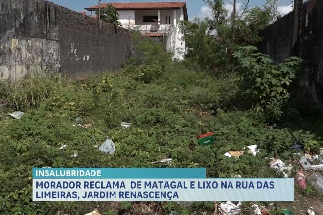 Morador denuncia lixo e matagal em rua do Jardim Renascença