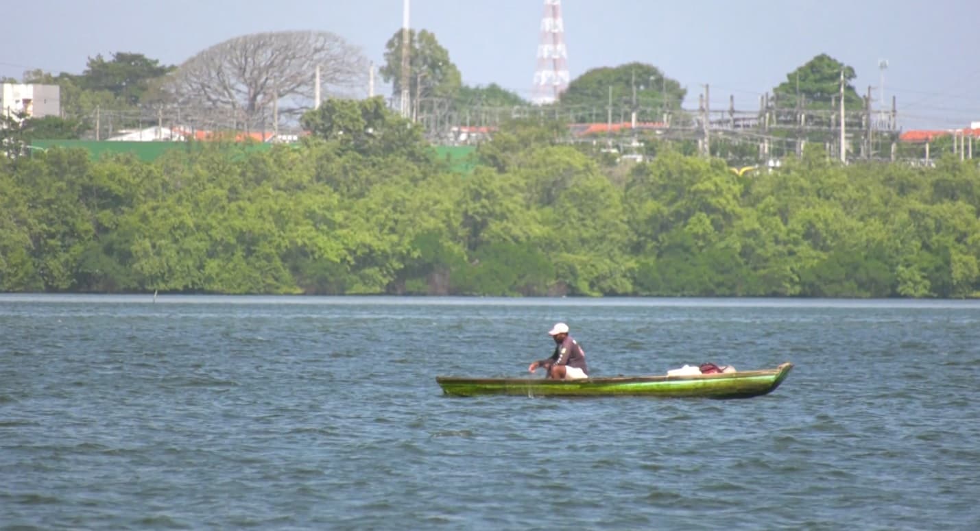 MPA suspende mais de 130 mil licenças de pescadores profissionais inscritos no RGP