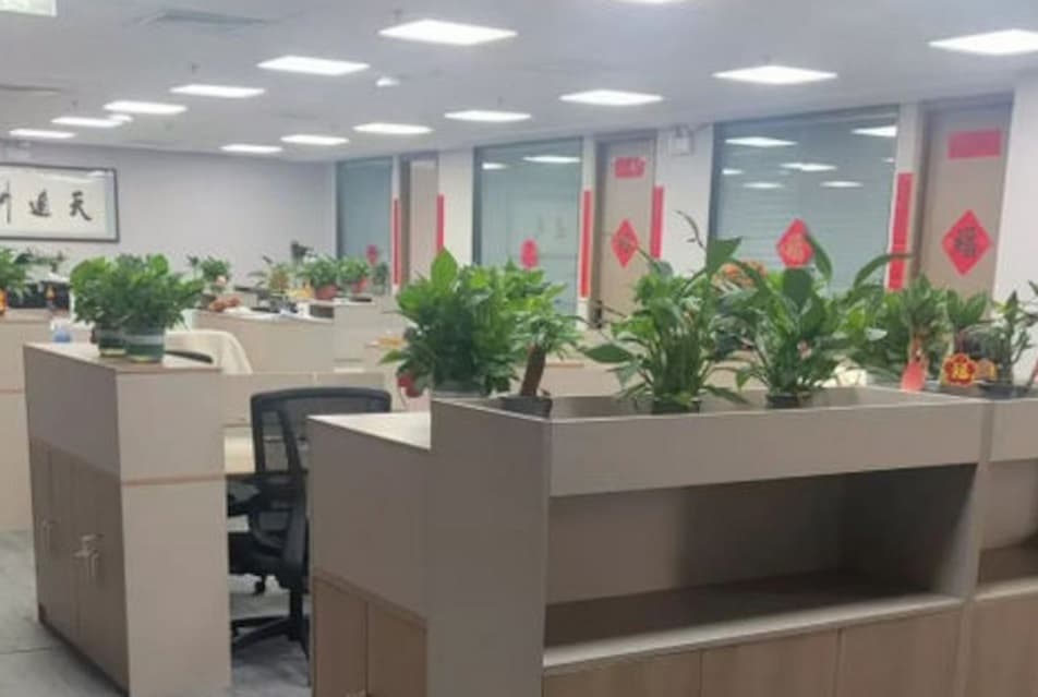 Mercado chinês contrata funcionários para ‘trabalhar de mentirinha’