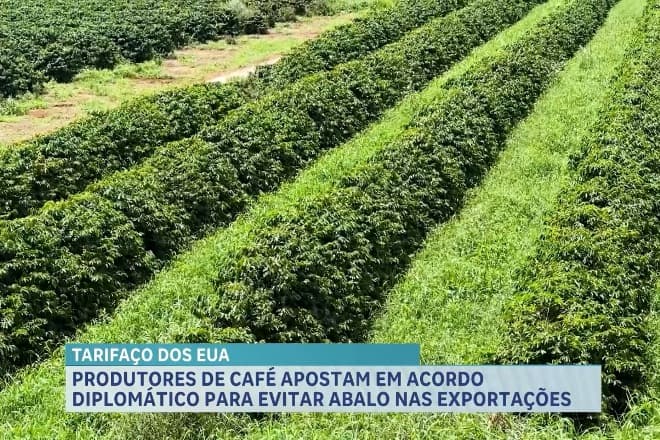 Agro Record: AGED participa de evento de tecnologia e Rio Verde celebra abóbora gigante