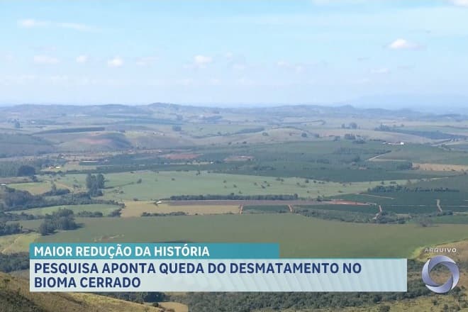 Desmatamento no Cerrado cai mais de 20% e Maranhão registra maior redução histórica