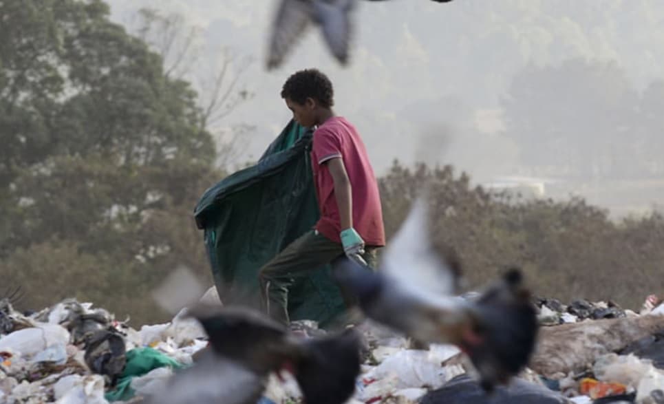 Trabalho infantil cresce e atinge 1,65 milhão de crianças e adolescentes no Brasil, diz IBGE