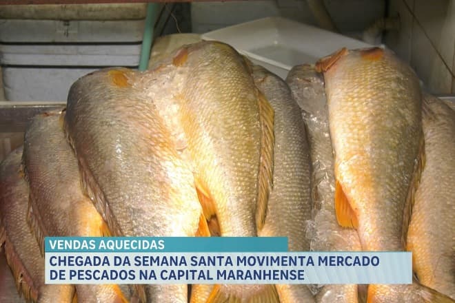 Quaresma impulsiona venda de pescados