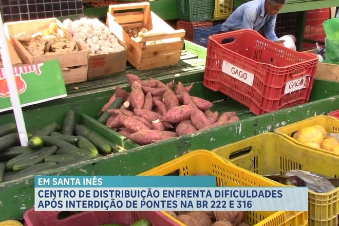 Agro Record: Maranhão participa de feira internacional e busca expandir mercado de frutas