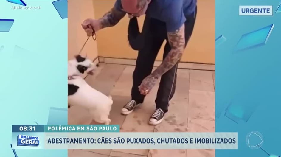 Vídeos de cães puxados e chutados em adestramento causam polêmica
