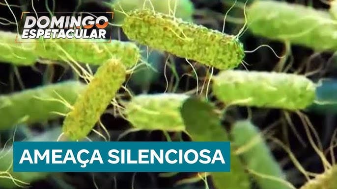 Superbactérias se espalham pelo planeta e podem matar mais que o câncer até 2050