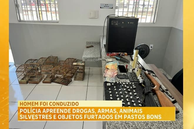 Polícia apreende armas, drogas e aves silvestres em residência em Pastos Bons