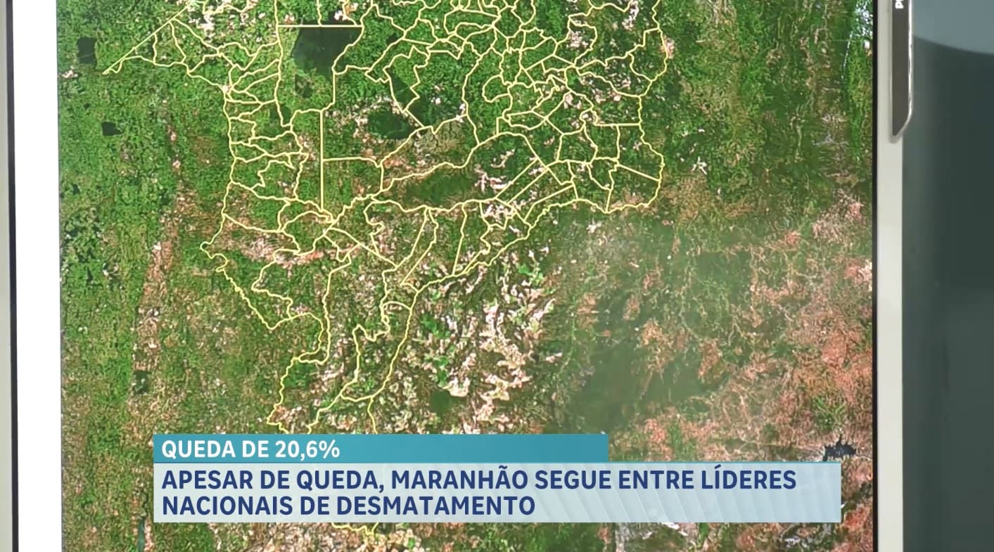 Desmatamento no Brasil cai 20,6% e fica abaixo de um milhão de hectares pela primeira vez desde 2019