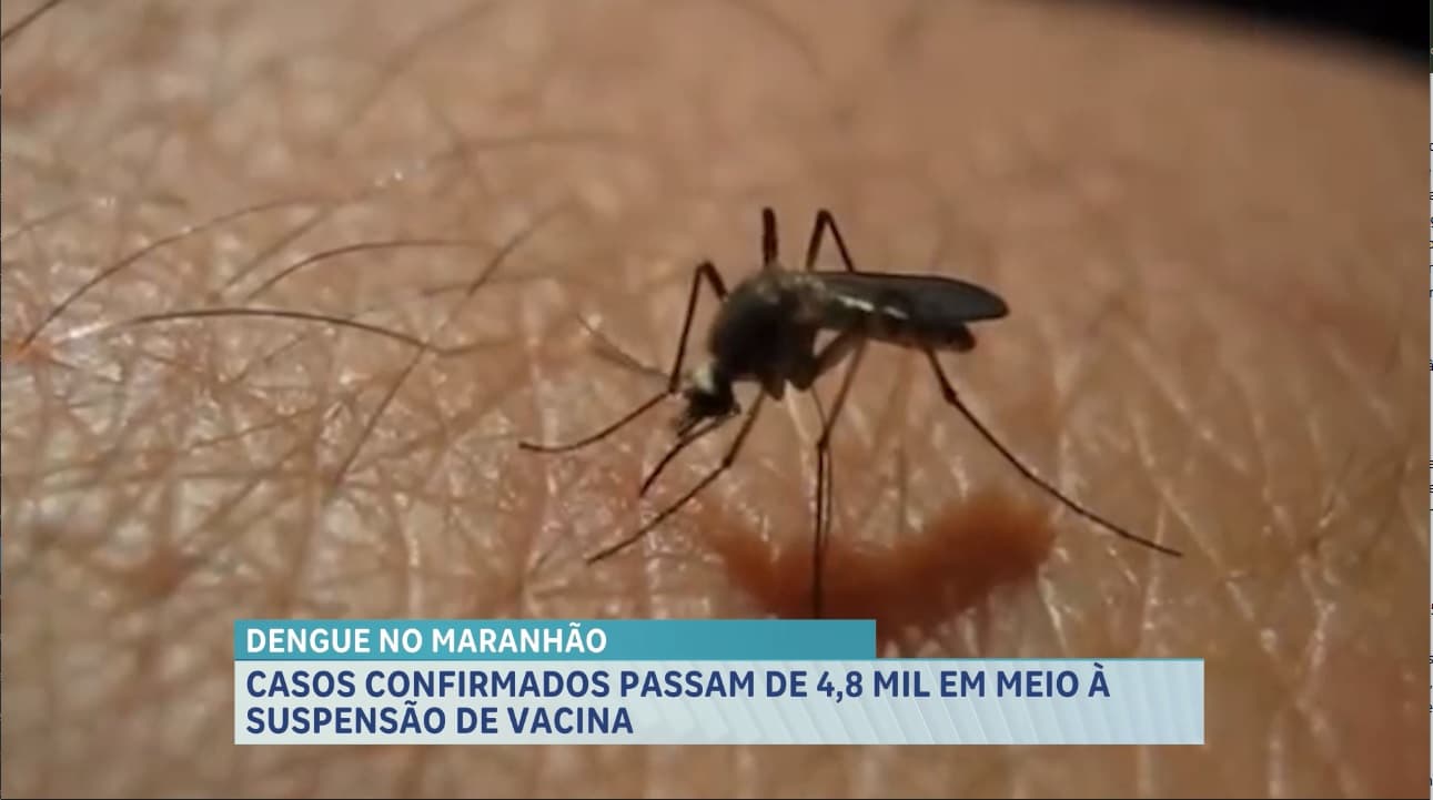 Seis pessoas morreram por dengue no Maranhão em 2026