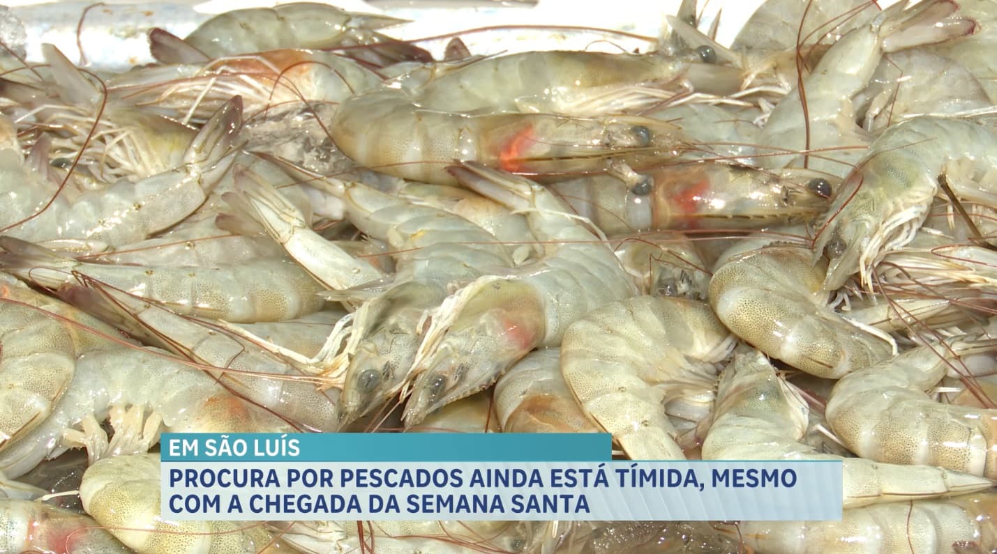 Procura por pescados ainda é baixa em São Luís, mesmo com a proximidade da Semana Santa