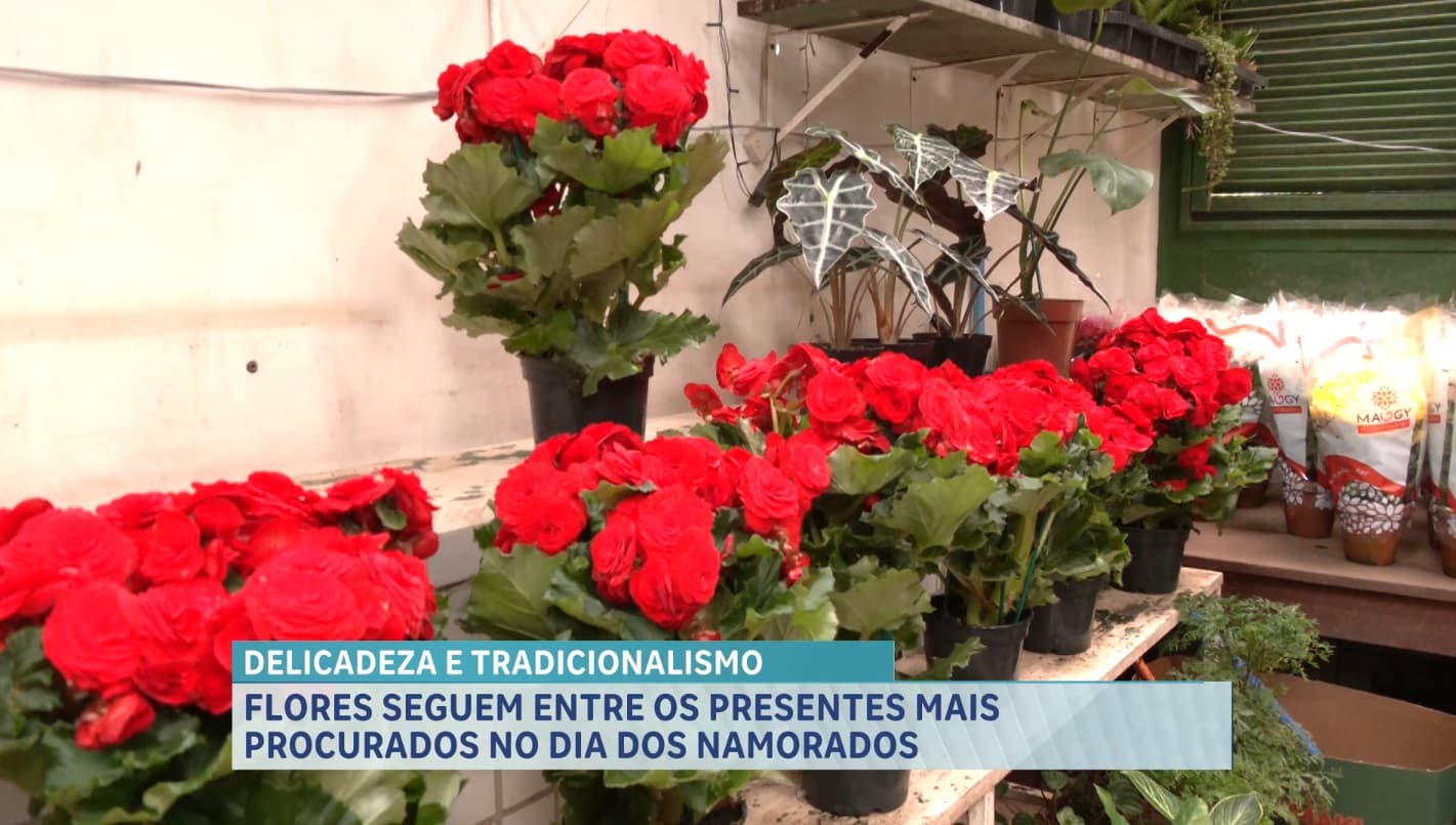 Flores mantêm tradição e impulsionam vendas no Dia dos Namorados