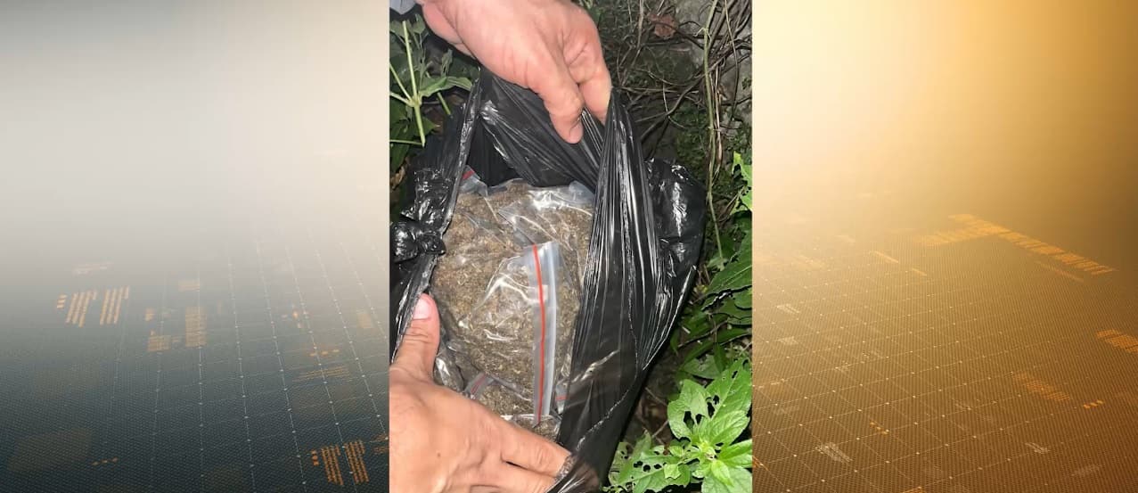 PM apreende entorpecentes em terreno baldio em São Luís