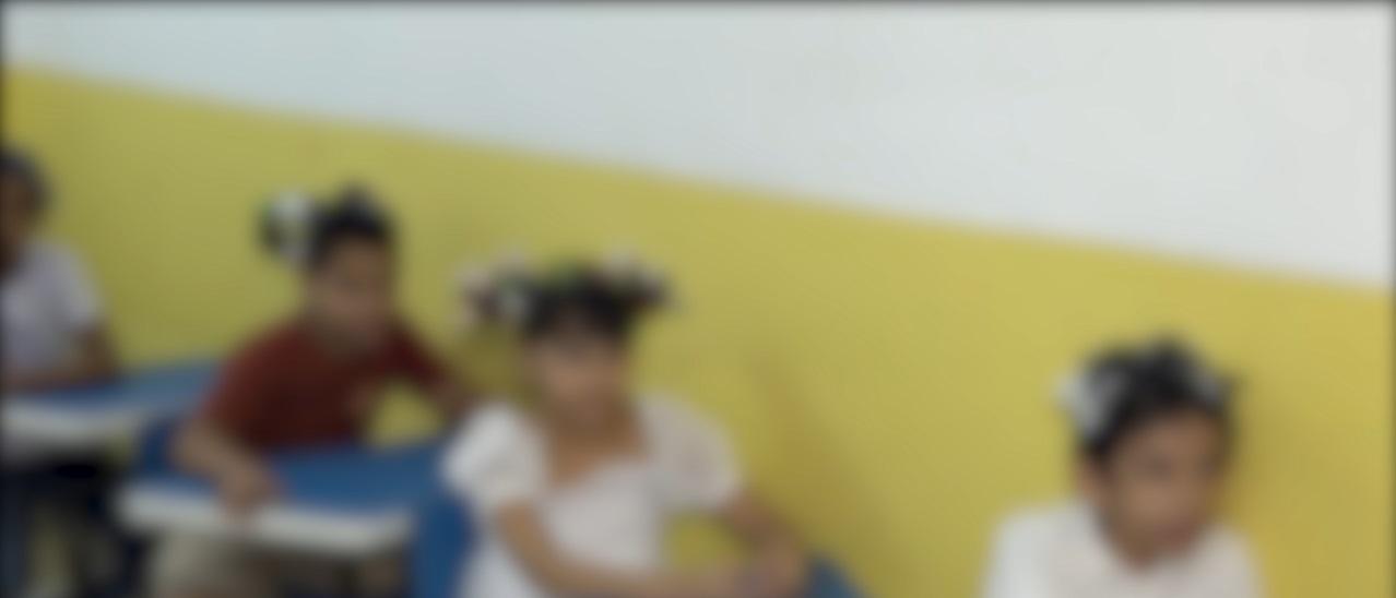 Educação Política Passa A Ser Obrigatória No Currículo Da Educação Básica