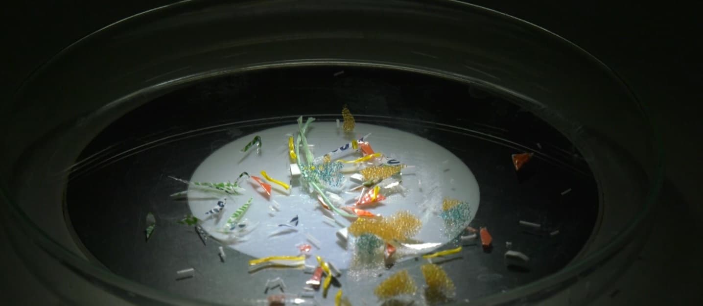 Microplásticos são encontrados em praias dos Lençóis Maranhenses