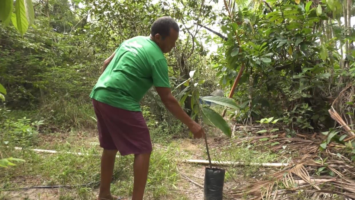 Impactos do El Niño no campo: mudanças no clima podem afetar a produção agrícola no Maranhão