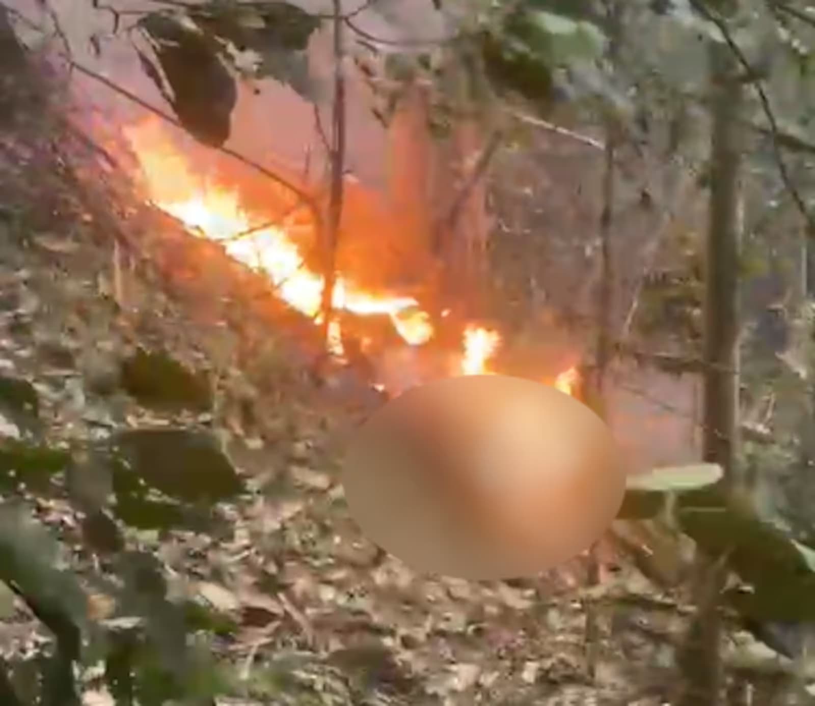 Helicóptero cai e deixa quatro mortos na Vista Chinesa, no Alto da Boa Vista, no Rio