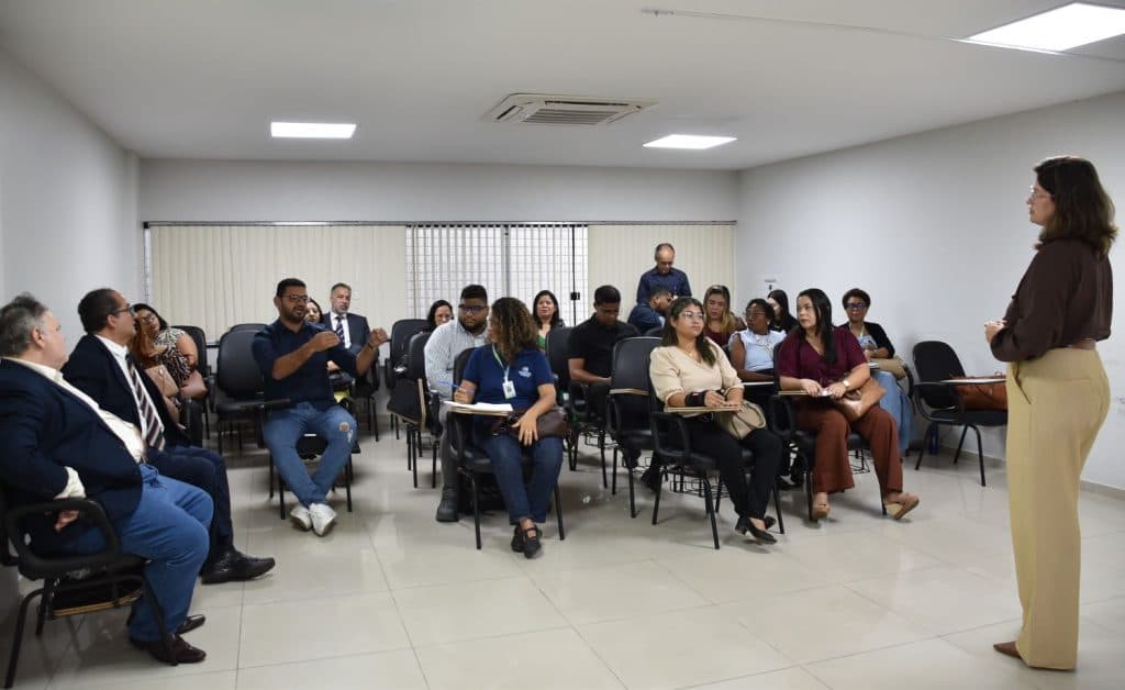 Reunião no MPMA alinha combate ao trabalho infantil nas eleições