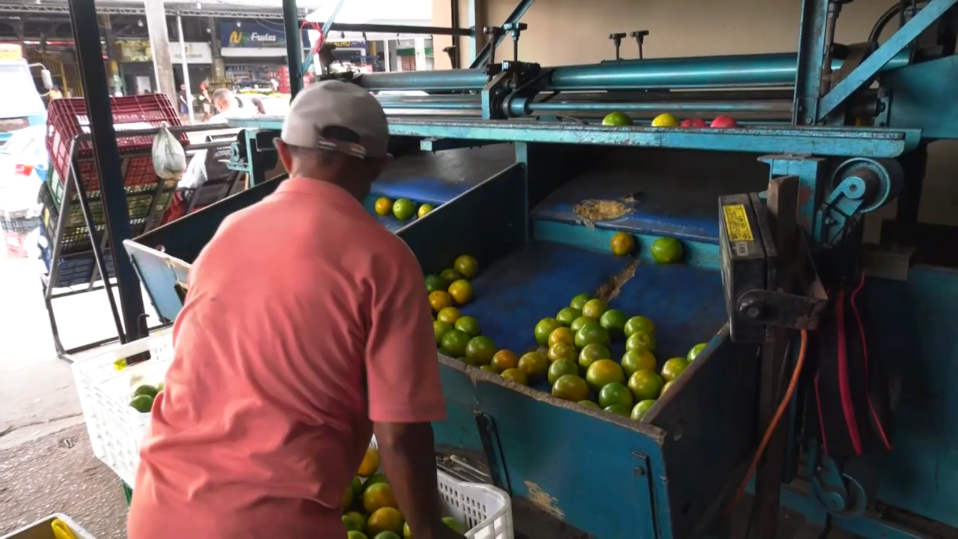 El Niño altera qualidade das frutas e eleva preços no Maranhão