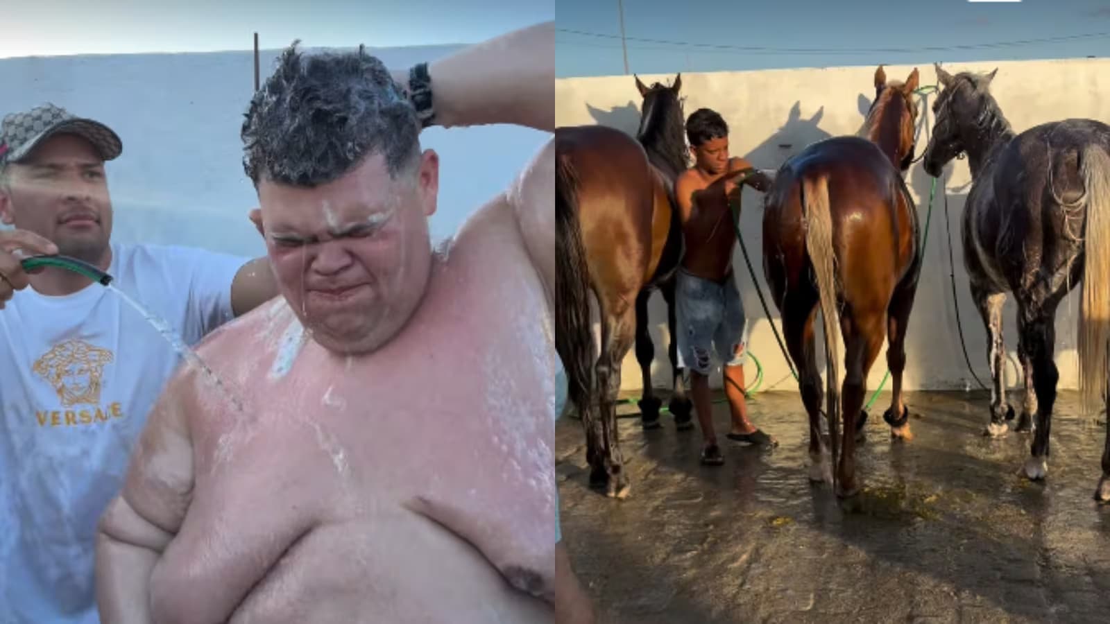Gordão da XJ toma banho com cavalos durante viagem e dispara: ‘Banheiro não cabe’